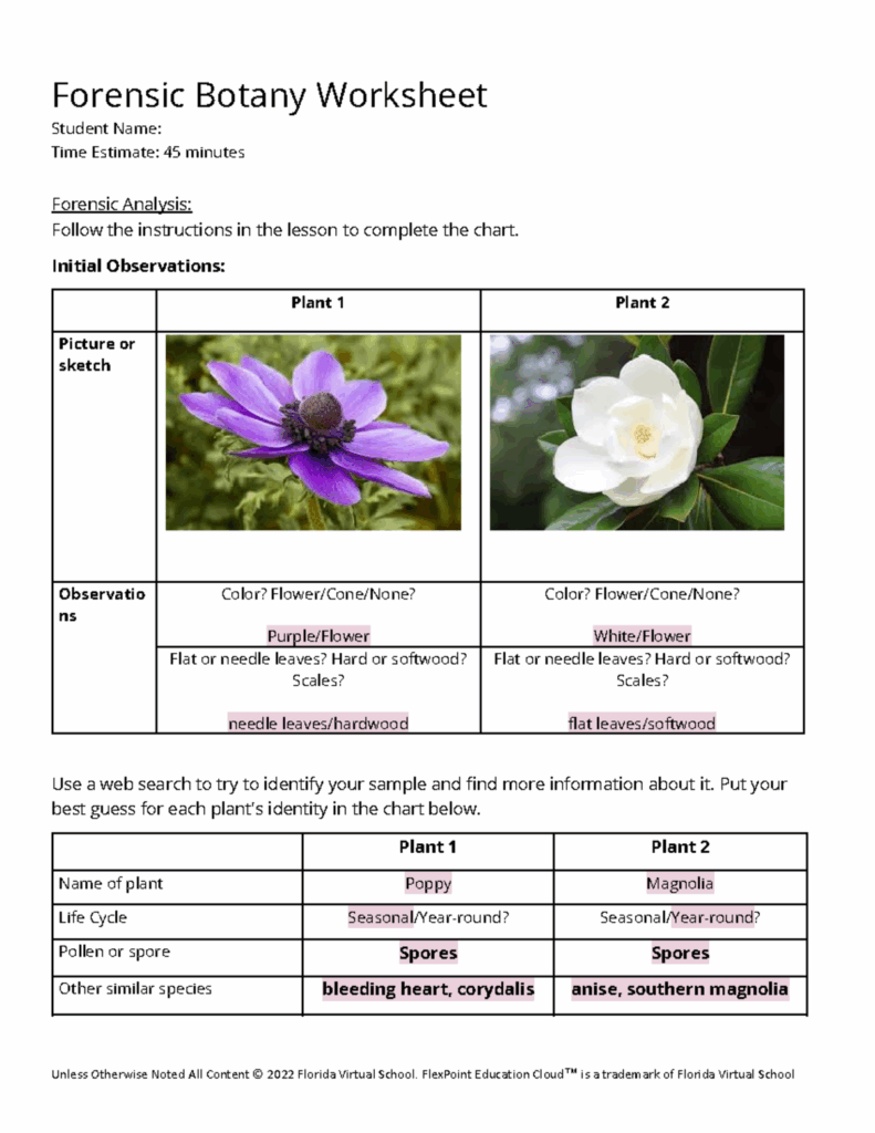 02 05 Forensic Botany Worksheet Forensic Botany Worksheet Student 