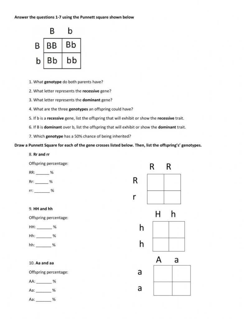 10 Best Printable Punnett Square Worksheets Pdf For Free At Artofit