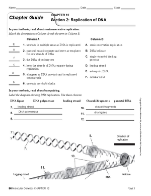 10 Chapter 12 Section 2 Replication Of Dna KhashaDaniyah