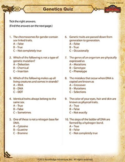 10 Genetics 7th Grade Science Worksheets Edea smith