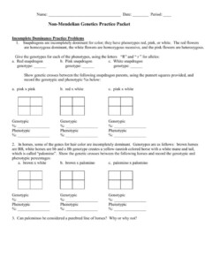 11 2 The Work Of Gregor Mendel Worksheet Answer Key Kayra Excel