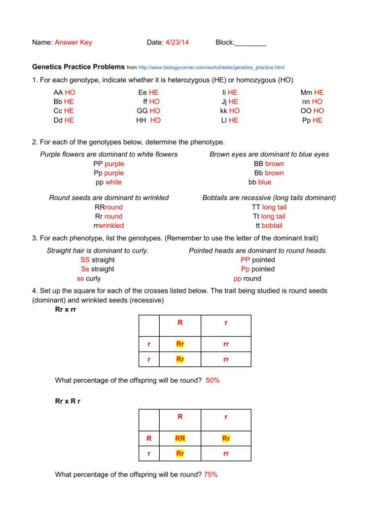 11 3 Exploring Mendelian Genetics Worksheet Genetics Practice 