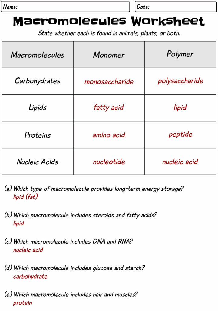 11 Biology Macromolecules Worksheets And Answers Free PDF At 