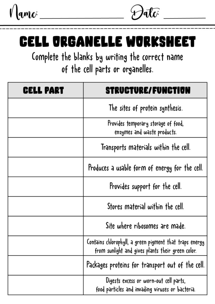 14 7th Grade Biology Worksheets Worksheeto