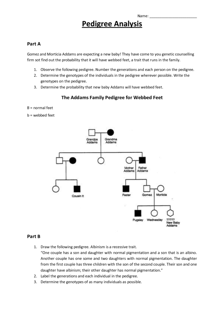 15 Best Images Of Pedigree Problem Worksheet Answers Genetics 