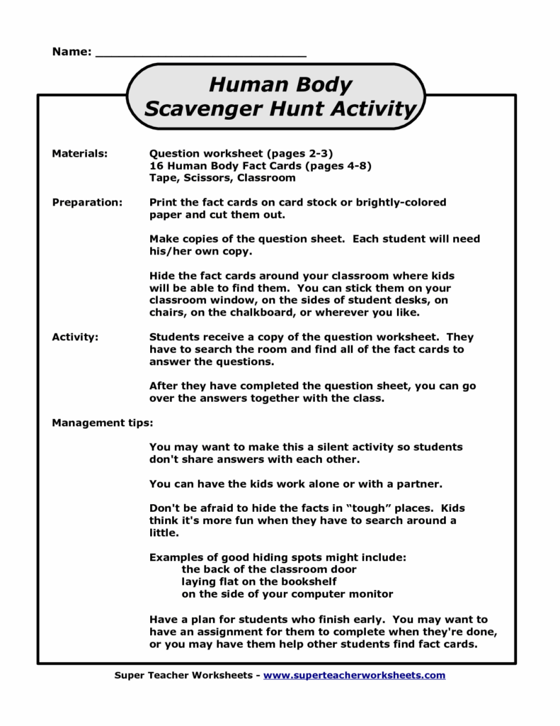 15 Human Anatomy Physiology Worksheets Free PDF At Worksheeto