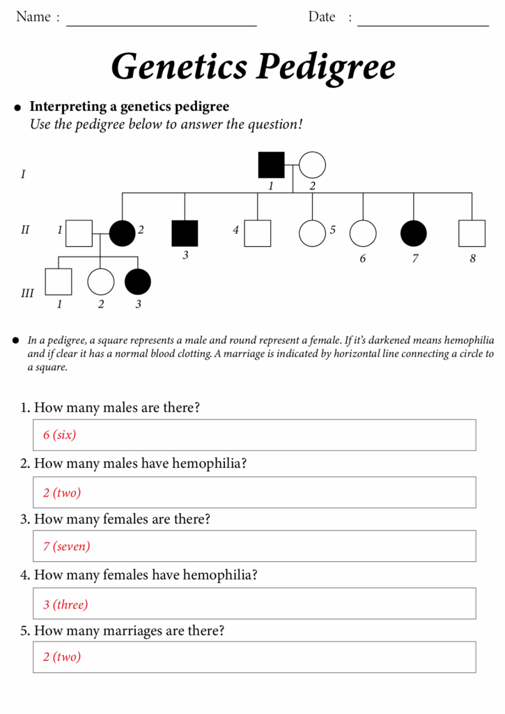 15 Pedigree Worksheet With Answer Key Free PDF At Worksheeto