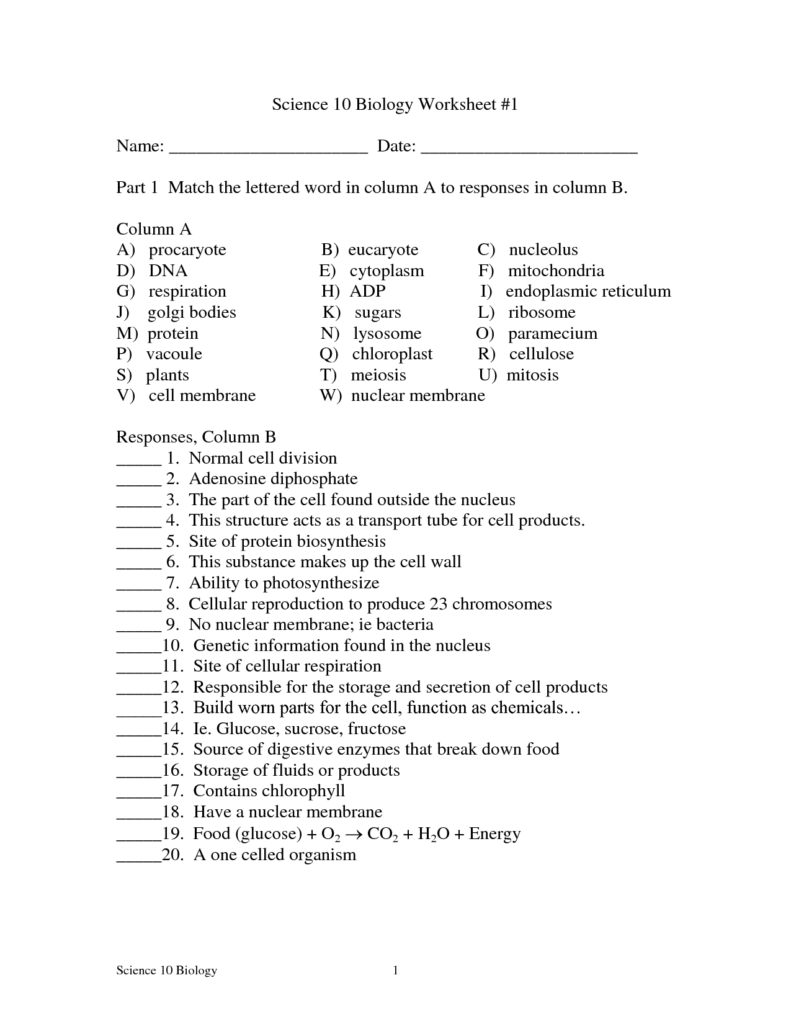 17 Cell Biology Worksheets Worksheeto