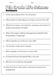 18 7th Grade Science Cells Worksheets Free PDF At Worksheeto