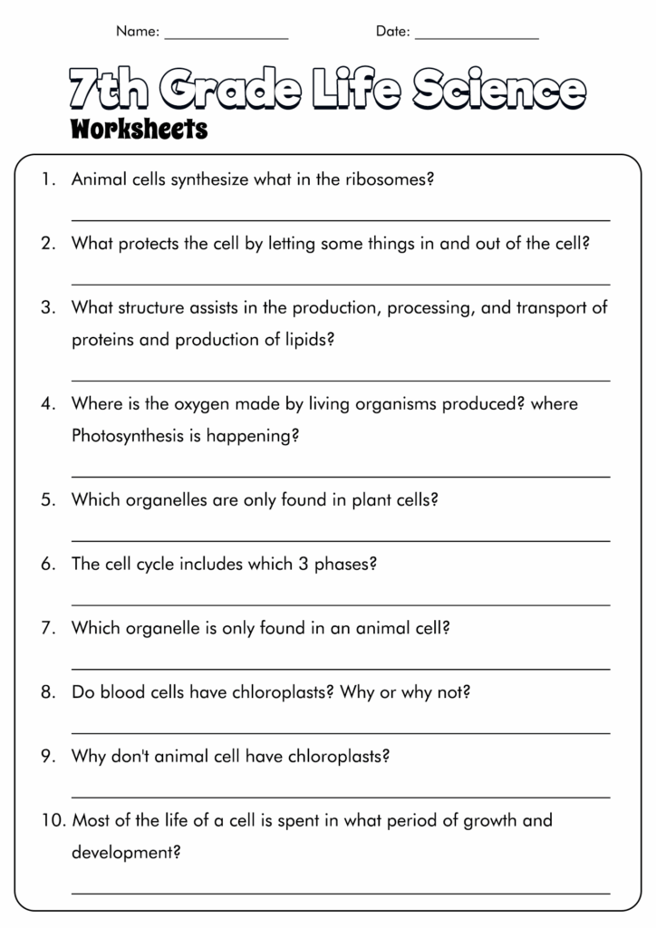 18 7th Grade Science Cells Worksheets Free PDF At Worksheeto