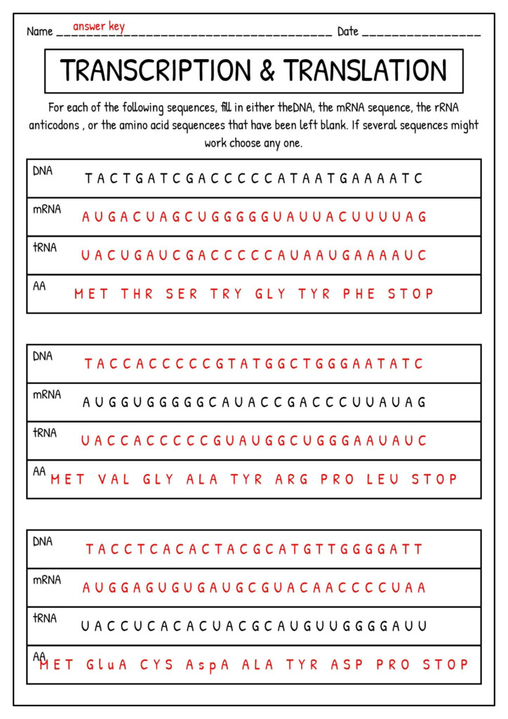19 Dna Synthesis Worksheet Artofit