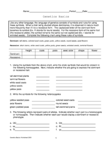 19 The Genetic Code Worksheet Answers Worksheeto