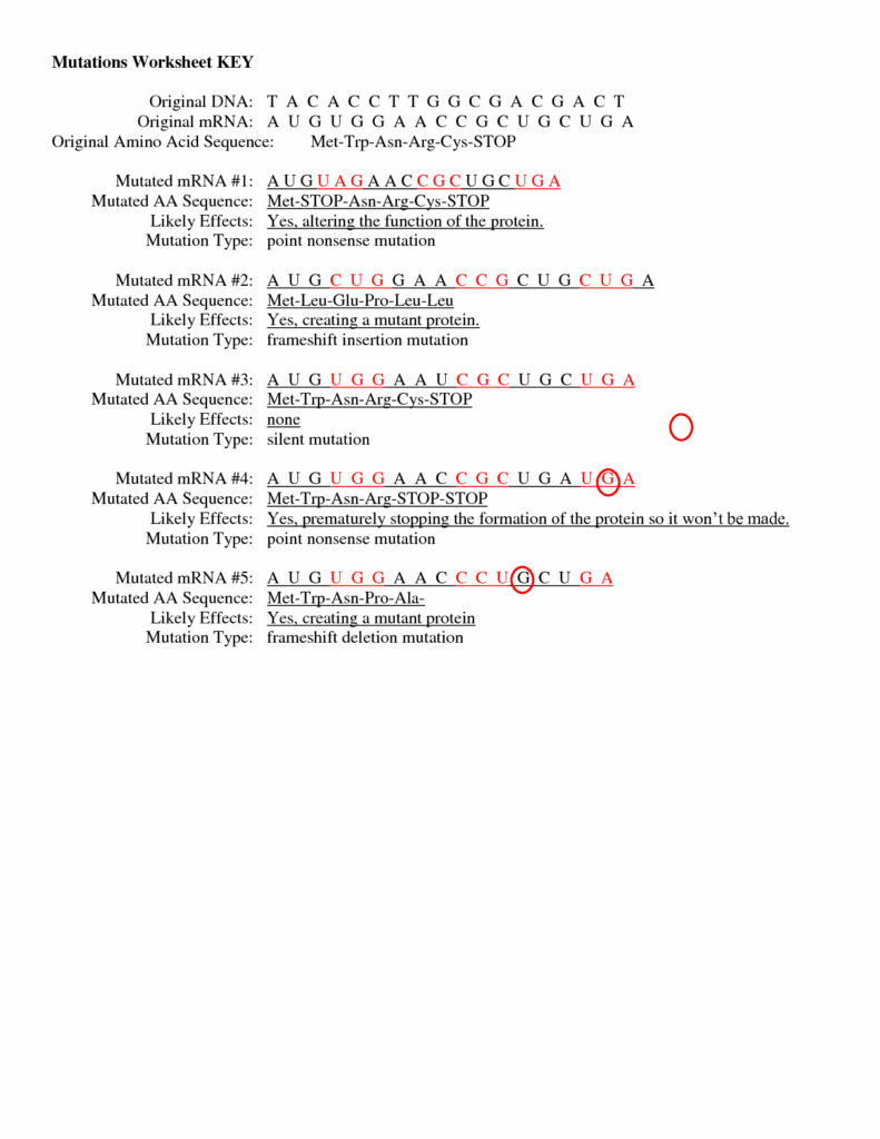 19 The Genetic Code Worksheet Answers Worksheeto