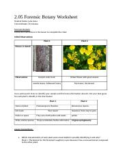2 05 Botany Worksheet docx 2 05 Forensic Botany Worksheet Student 