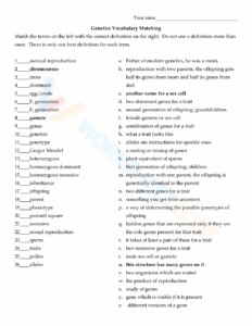 20 Genetics Vocabulary Worksheet