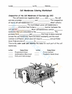 20 Grade 9 Cell Structure And Function Worksheets 2024 Worksheets