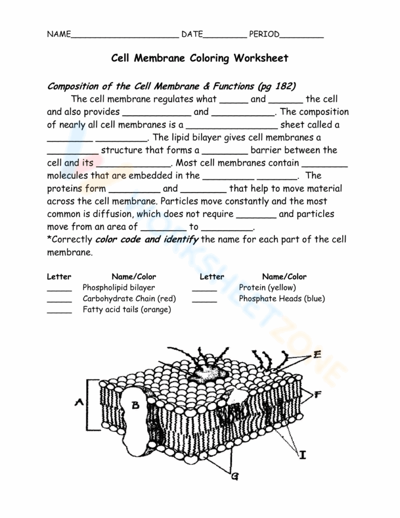 20 Grade 9 Cell Structure And Function Worksheets 2024 Worksheets 