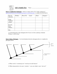 20 Reading Worksheets Based On Genetics Worksheeto