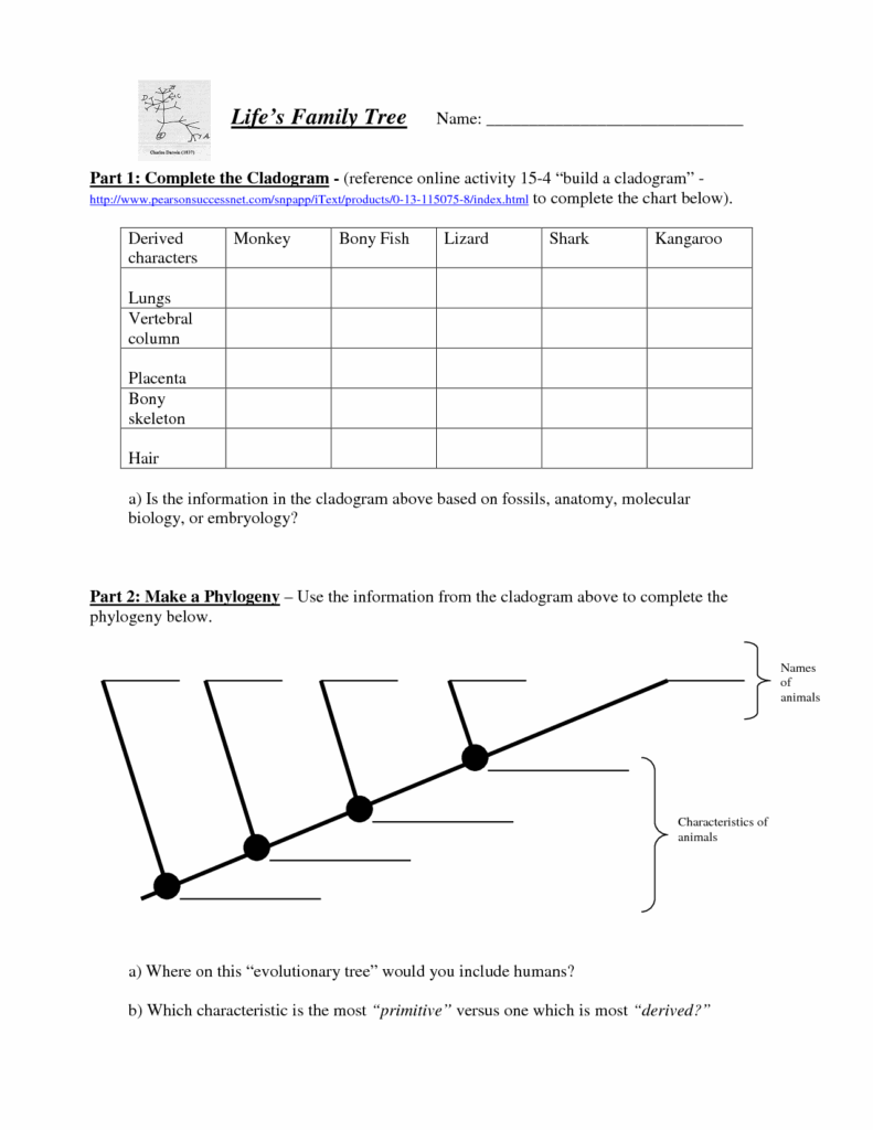 20 Reading Worksheets Based On Genetics Worksheeto