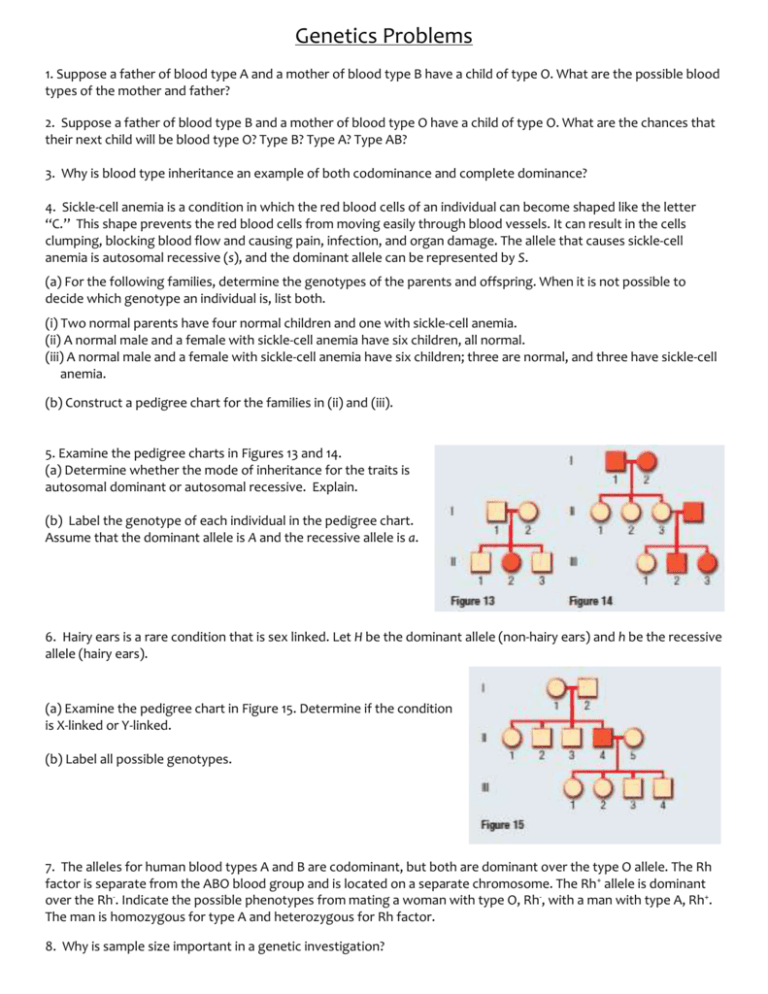 30 Genetics Problems Worksheet Worksheets Decoomo