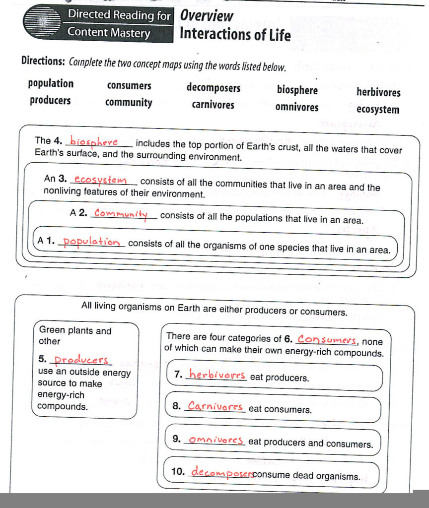 30 Levels Of Ecological Organization Worksheet Education Template 