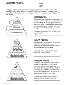 31 Ecological Pyramids Worksheet Answer Key Support Worksheet