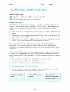 32 Human Genetic Disorders Worksheet Answers Support Worksheet