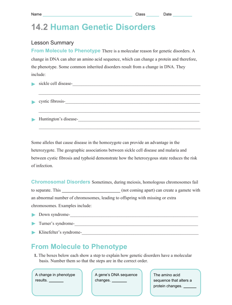 32 Human Genetic Disorders Worksheet Answers Support Worksheet