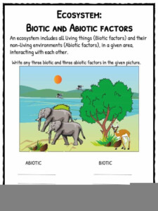 34 Components Of An Ecosystem Worksheet Answers Worksheet Project List