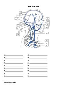 35 EMT Worksheets Ideas Human Anatomy And Physiology Anatomy And 