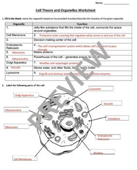 36 Cell Structure Worksheet Answers Support Worksheet