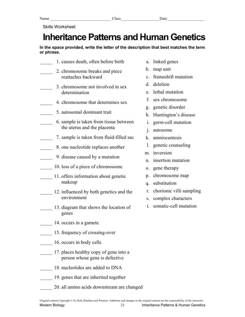 36 Patterns Of Heredity And Human Genetics Worksheet Answers Support 
