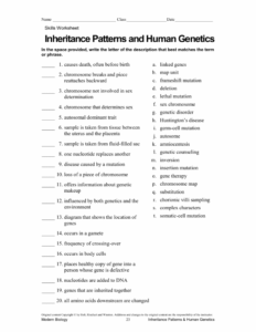 36 Patterns Of Heredity And Human Genetics Worksheet Answers Support