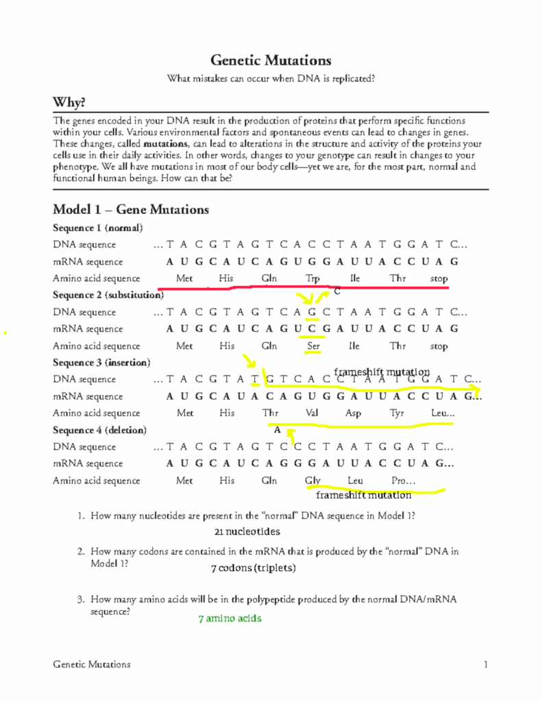 39 Dna Mutation Practice Worksheet Answers Worksheet Master
