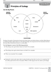 40 Principles Of Ecology Worksheet Answers Worksheet Master