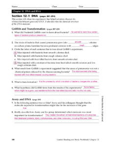 41 Chapter 12 Section 1 Dna The Genetic Material Worksheet Answers