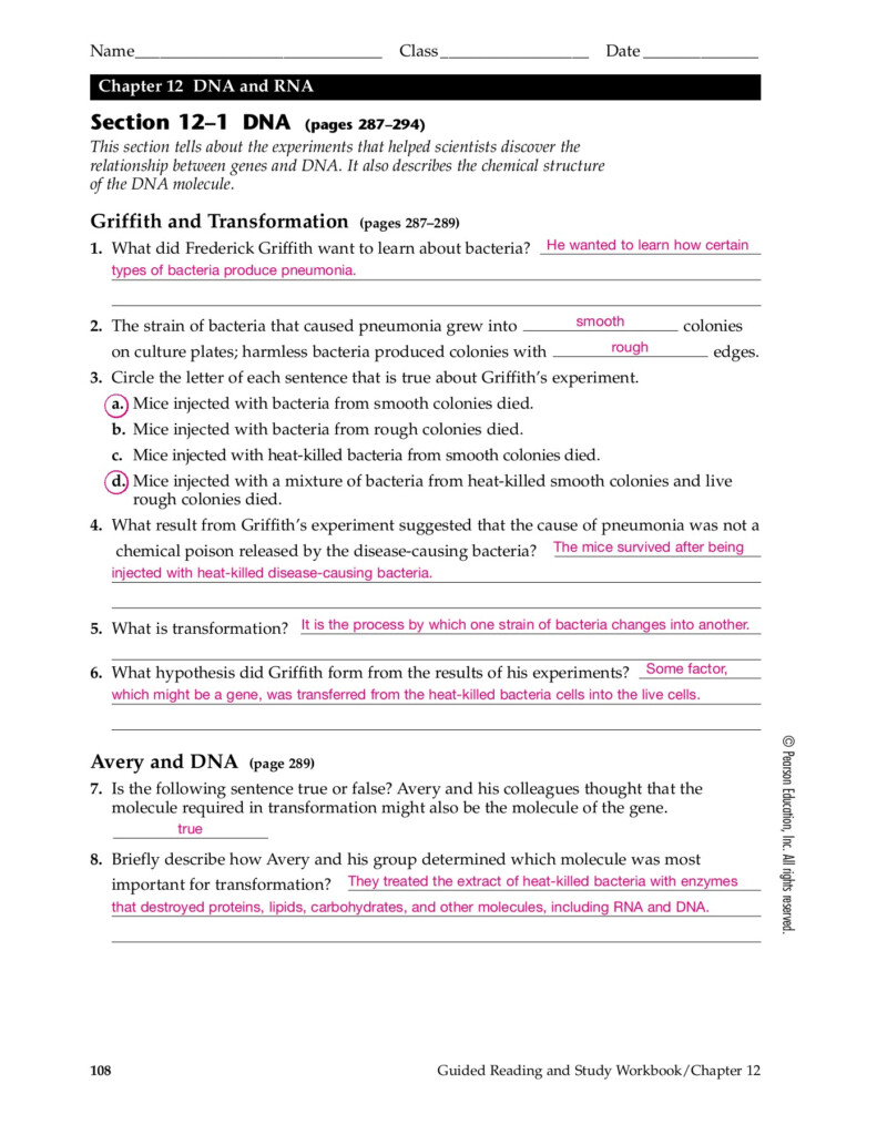 41 Chapter 12 Section 1 Dna The Genetic Material Worksheet Answers 