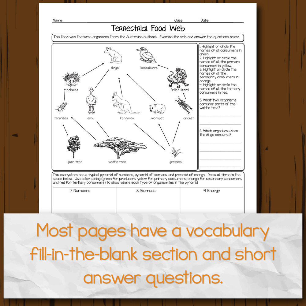41 Ecology Worksheet Answer Key Worksheet Database