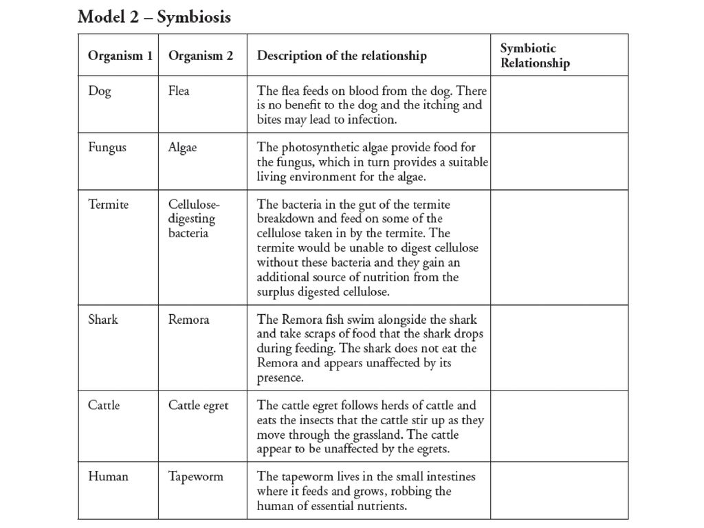 42 Ecological Relationships Worksheet Answers Pogil Worksheet Live