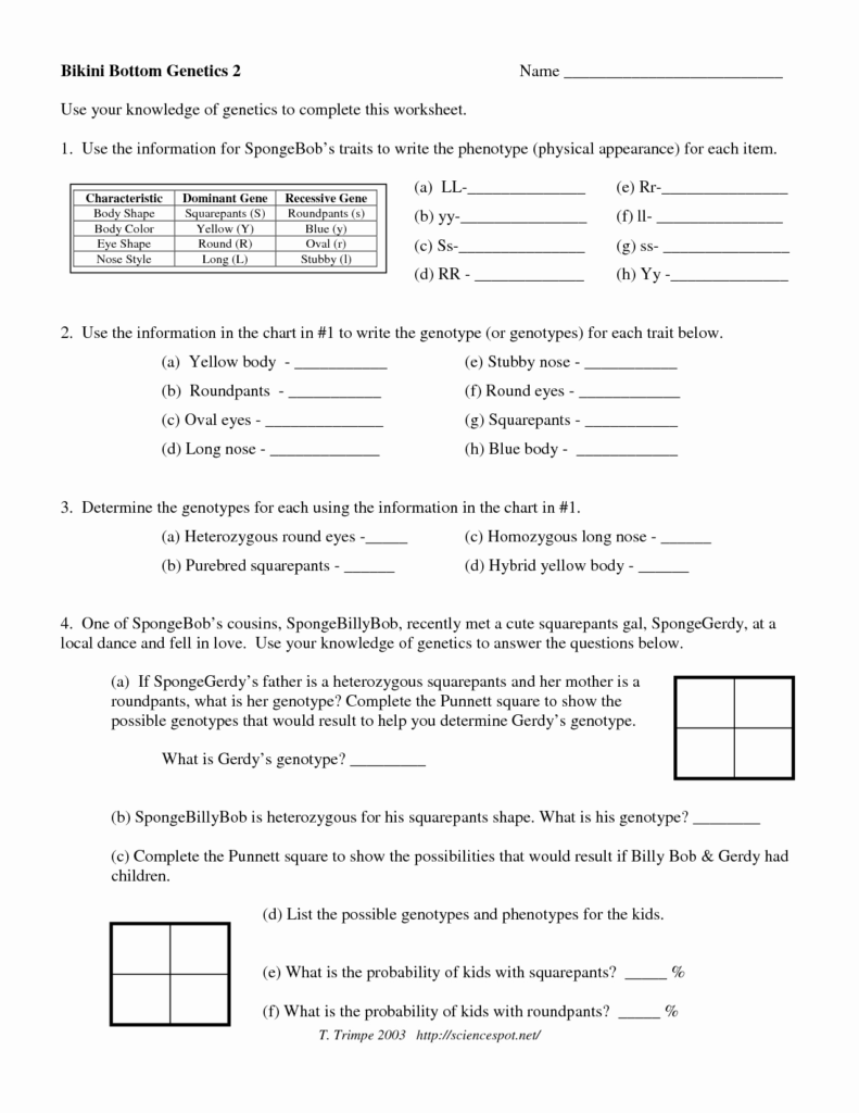 50 Genetics Problems Worksheet Answers Chessmuseum Template Library