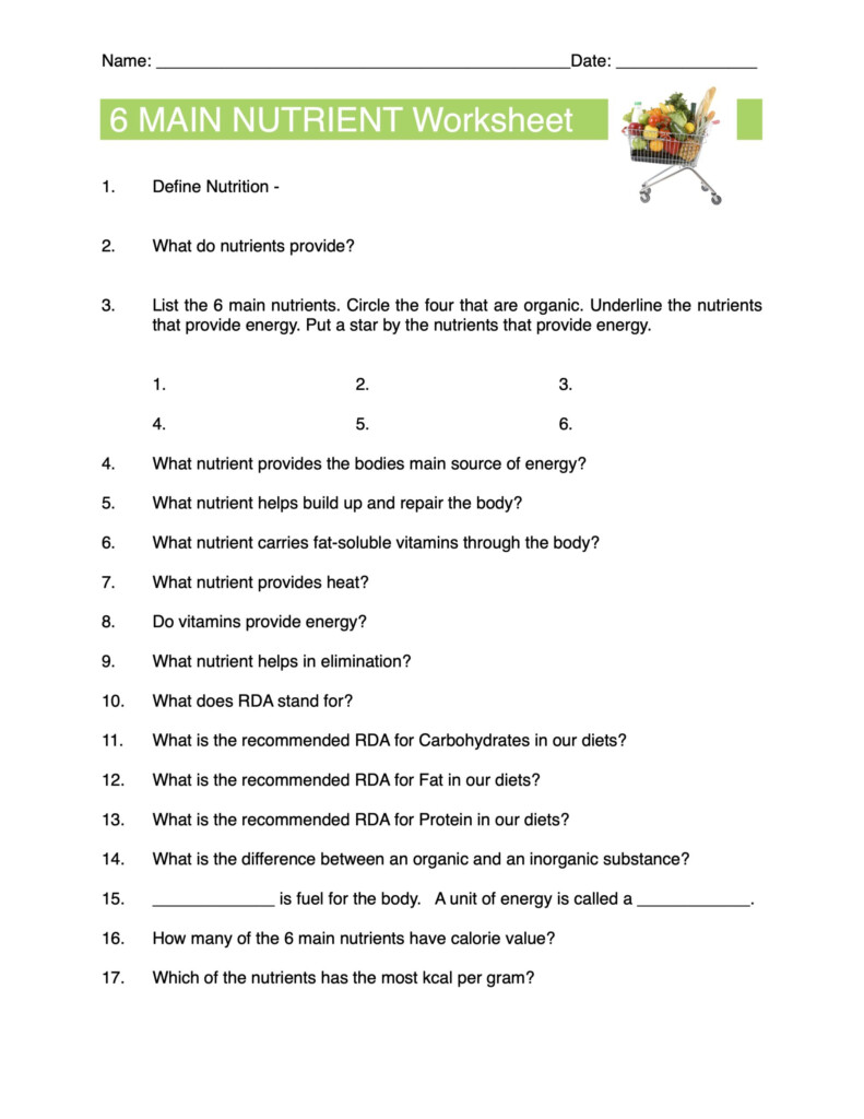 6 Main Nutrients Content Sheet Worksheet And Answer Key Made By Teachers