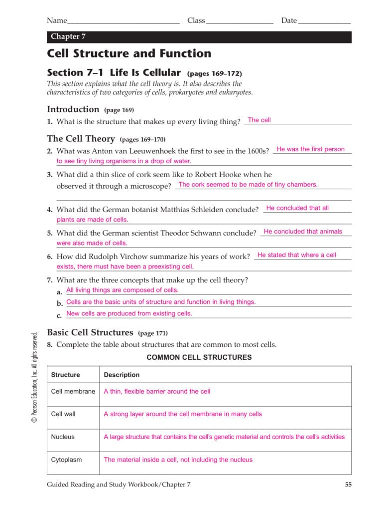 7 2 Cell Structure Worksheet Answer Key Biology Db excel