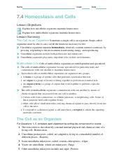 7 4 Homeostasis And Cells Answer Key Homeostasis Virtual Lab