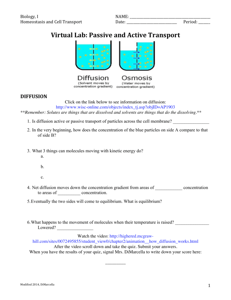 7 4 Homeostasis And Cells Answer Key Homeostasis Virtual Lab