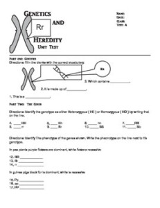 7th Grade Genetics And Heredity Unit Test At And Above Level By