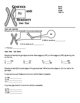 7th Grade Genetics And Heredity Unit Test At And Above Level By 