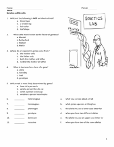 7th Grade Science Genetics Worksheets Pdf Scienceworksheets