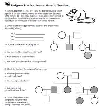 A Human Pedigree Answer Key Genetics Pedigree Worksheet Answer Key 