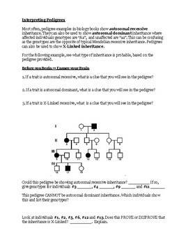 A Human Pedigree Answer Key Genetics Problems Worksheet Answer Key 