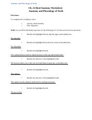 A P Week 5 Worksheet 5 docx Anatomy And Physiology Of Teeth Ch 24 